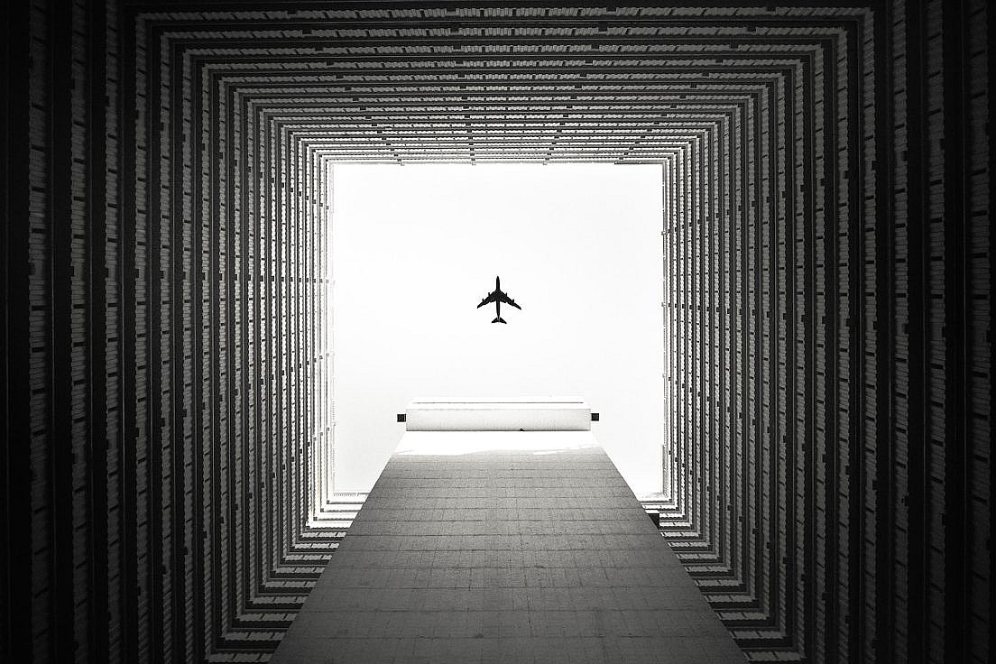 black bird flying over the building