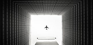 Real Estate Investment Trusts black bird flying over the building