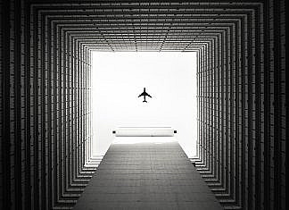 Real Estate Investment Trusts black bird flying over the building