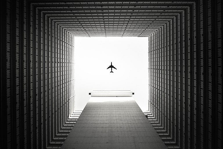 black bird flying over the building