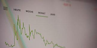 Anleihen & Zinsen: Grundlagen, Chancen, Risiken & Praxis white paper with green line