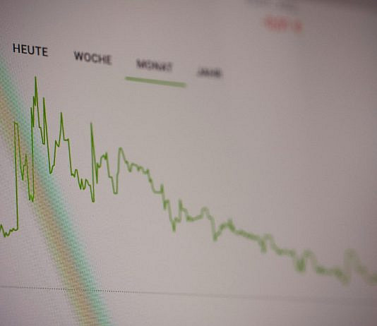Anleihen & Zinsen: Grundlagen, Chancen, Risiken & Praxis white paper with green line