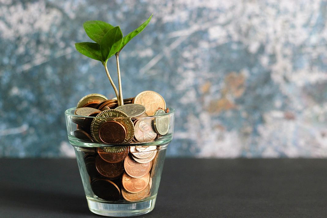 Foto von micheile dot com green plant in clear glass vase
